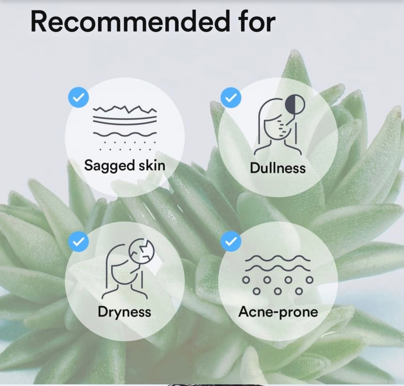 Abib Collagen gel mask Sedum jelly (1sheet)